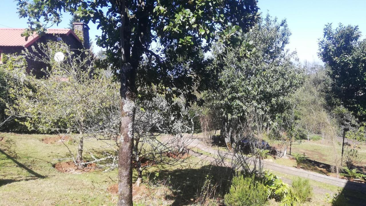 Chalet Pico Das Pedras سانتانا المظهر الخارجي الصورة