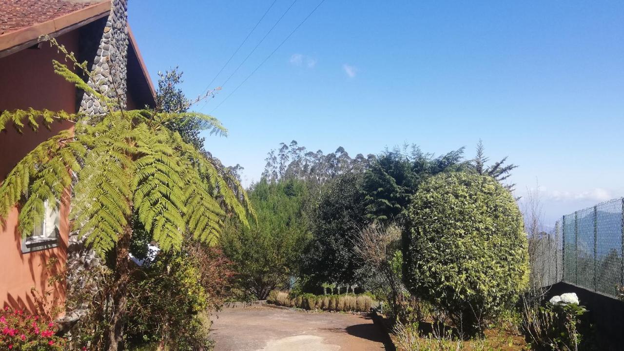 Chalet Pico Das Pedras سانتانا المظهر الخارجي الصورة