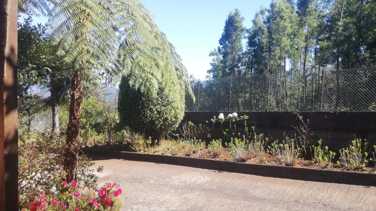 Chalet Pico Das Pedras سانتانا المظهر الخارجي الصورة