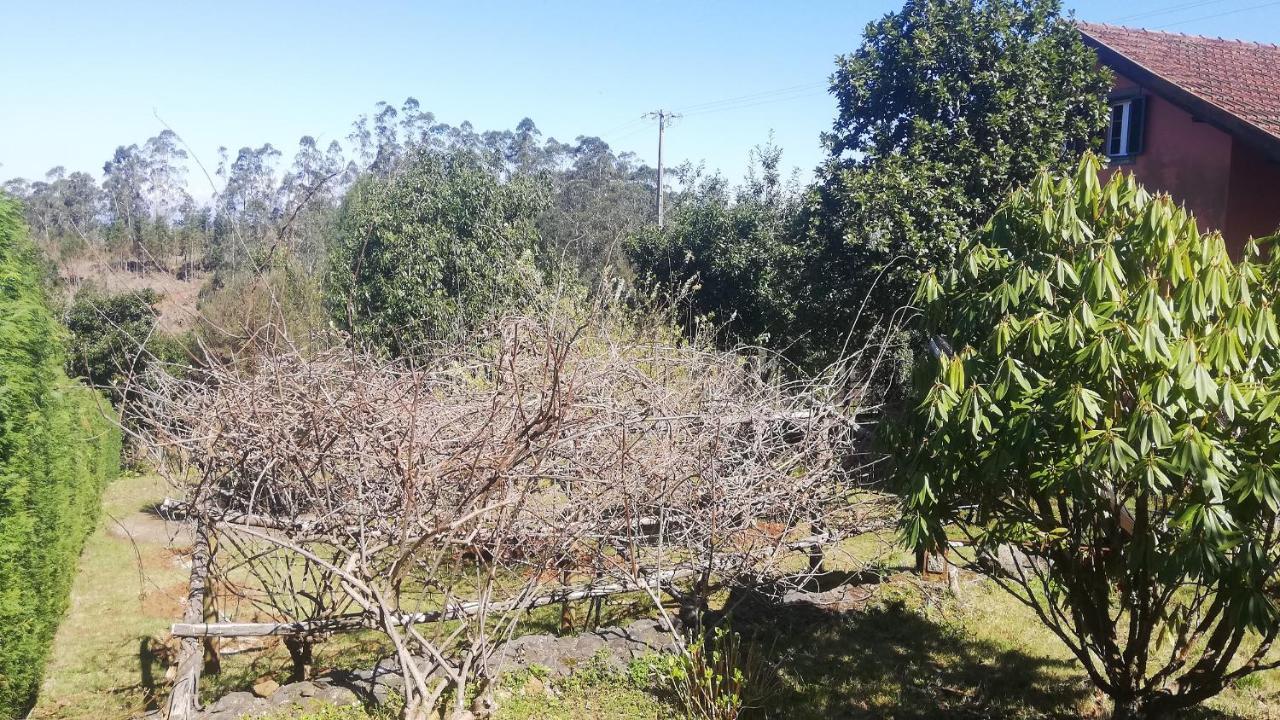 Chalet Pico Das Pedras سانتانا المظهر الخارجي الصورة